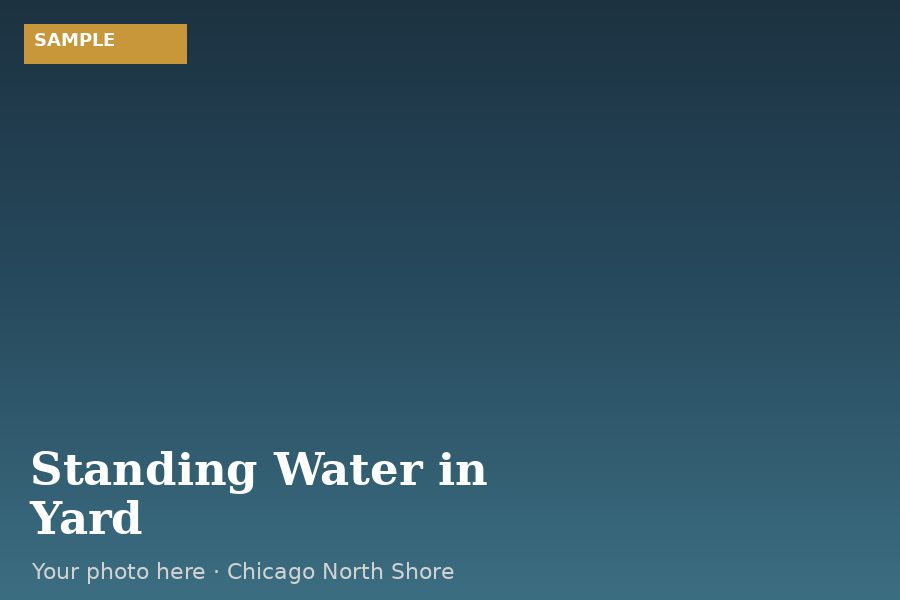 Standing Water in Yard