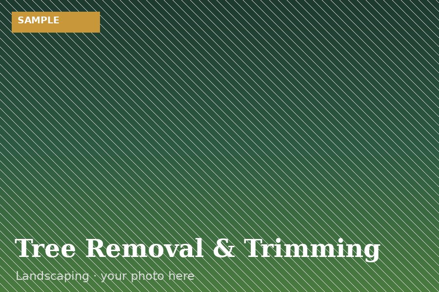 Tree Removal & Trimming